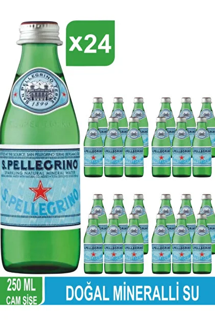 San Pellegrino 250 ml x 24 Adet